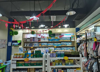 (转让) 杨公路营业中的母婴店低价转让