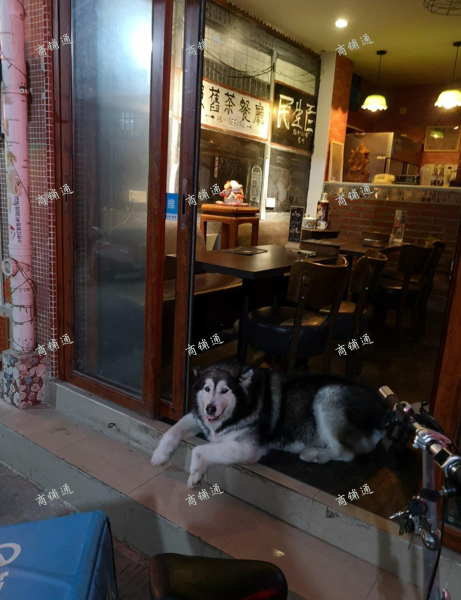 (出租) （专业代开)美团饿了么，无证/无店办理，先办后付费（招代理）