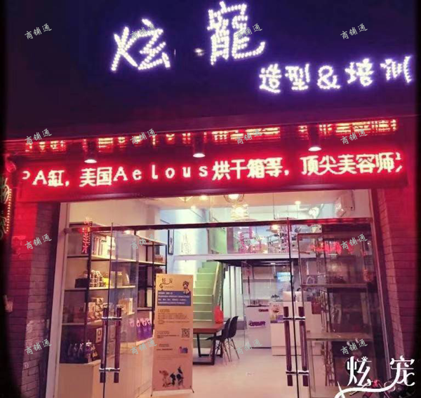 (转让) 盈利中千花伴5年老宠物店