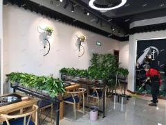 九级村委沿街烧烤火锅城整体转让，月入过万，客源稳定