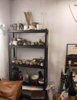 (出租) 现在是家多肉植物店，花店可直接接手，可转租，转让费面谈
