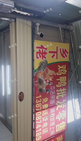 (转让) 因有其它发展，现转让跑火中家禽店