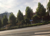 (出租) 重庆路小学中学沿街商铺出租