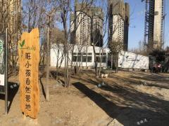 嘉亿国际南邻生态园转让，面积大租金低，转让费合理！