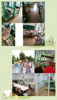 (出租) 此房位于沿街商铺，万达附近，停车方便