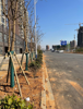 (出租) 门口场地宽敞整洁，周围有多个4s店