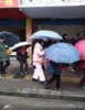 (出租) 出租进贤进贤县城商业街店铺