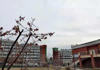 (出租) 淄川区淄博师专大学城商业街