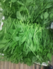 (转让) 猪肉蔬菜水果店老店转让回头客多