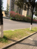(转让) 低价转让