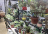 (转让) 小区出入口（可空转）花店转让便利店餐饮都行门面转让