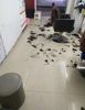 (转让) 学校营业中美发店转让，客源稳定，校园独一家