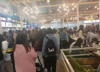 (转让) 夫妻档优先，食材可以自采，开学封闭管理，要求出餐快