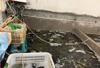 (转让) 卖鱼摆摆的门面转让销量5以上，可以实地考察跟一个月看生意。