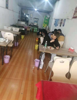 (转让) 向塘北大道江西科技职业学院正对面