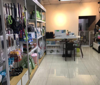 (转让) 九龙坡万象城老店宠物店转让