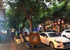 (转让) 花卉园餐饮一条街店铺转让
