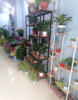 (转让) 因本人有其他发展无暇兼顾，现将盈利中的花店忍痛转让！