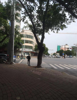 (转让) 转让赣县赣新大道临街门面
