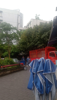 (转让) 临街望铺转让，十子路口