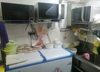 (转让) 经营御景江城艾肯莱品牌汉堡炸鸡五六年！餐饮一条街人流大