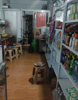 (转让) 现经营中的店铺，可以做早餐，小超市，快递