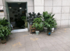 (转让) 商业街店铺  营业中 因照顾小孩忍痛割爱