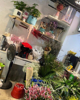 (转让) 鲜花店转让步行街惠工路贝蒂新城2期小区有固定的消费群体