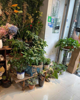 (转让) 鲜花店转让步行街惠工路贝蒂新城2期小区有固定的消费群体