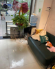 (转让) 鲜花店转让步行街惠工路贝蒂新城2期小区有固定的消费群体