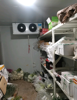 (转让) 盈利中生鲜超市因个人健康原因转让