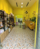 (转让) 转店公司勿扰！宠物店转让