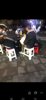 (转让) 因本人有其它事无发在经营此店