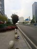 (转让) 营利中餐馆转让渝北汽博中心写字楼配套