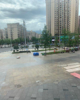 (转让) ，因为多业发展照顾不到