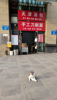 (转让) 餐饮店优先有天然气可以过户