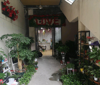 (转让) 花店转让，中介不要打电话，谢谢，有需要的可联系，