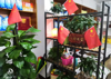 (转让) 营业中：汗蒸理疗馆转让（接手即可经营）