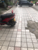 (转让) 中介勿扰，不然我要骂你。离厂近，适合火锅 串串等餐饮随时看店