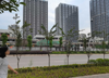(转让) 转让北碚蔡家曹家湾轻轨站商圈店铺