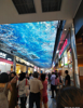 (转让) 转角门面，展示面大，重庆网红打卡地，三D实景下雪。