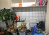 (转让) 盘龙商业街盈利花店转让，租金低压力小