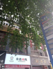 (转让) 回兴面馆和快餐位置，欢迎来看