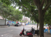 (转让) 门市常亮宽正对工地大门口