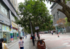 (转让) 小区门口商业店铺 经营理发店。客流量大