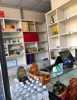 (转让) 大学城附近，新出的公寓旺铺转让，无需装修，即租即开店