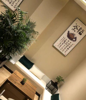 (转让) 门面转让养生馆转让店转让理疗店转让可做茶楼采耳等转让费面议