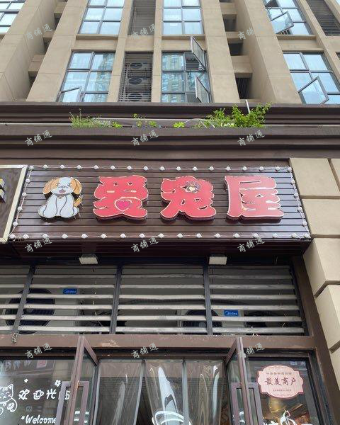 (转让) 盈利宠物店转让，私人原因