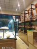 (转让) 学校边蛋糕店转让，人流量大