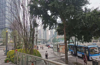 (转让) 门面转让生意转让火锅店串串店转让茶楼网红店临街好位置